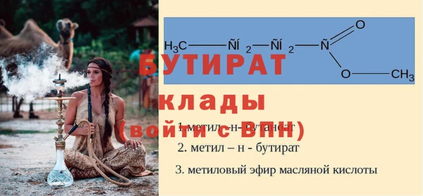 крисы Бородино