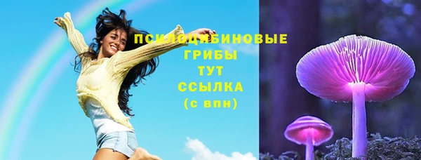 гашишное масло Гусев
