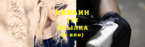 крисы Бородино