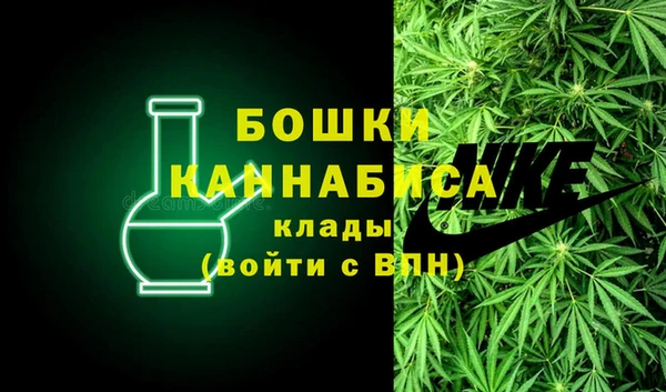 крисы Бородино