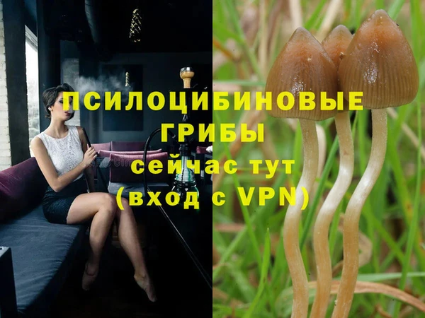 СК Гусиноозёрск