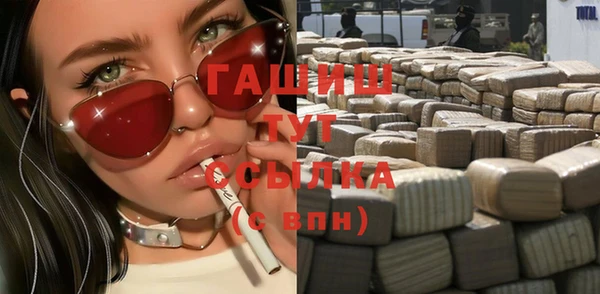 крисы Бородино
