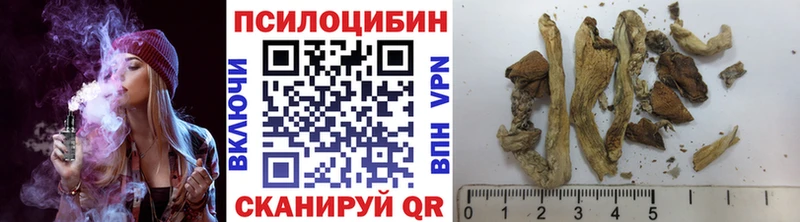 Псилоцибиновые грибы GOLDEN TEACHER  Высоковск 